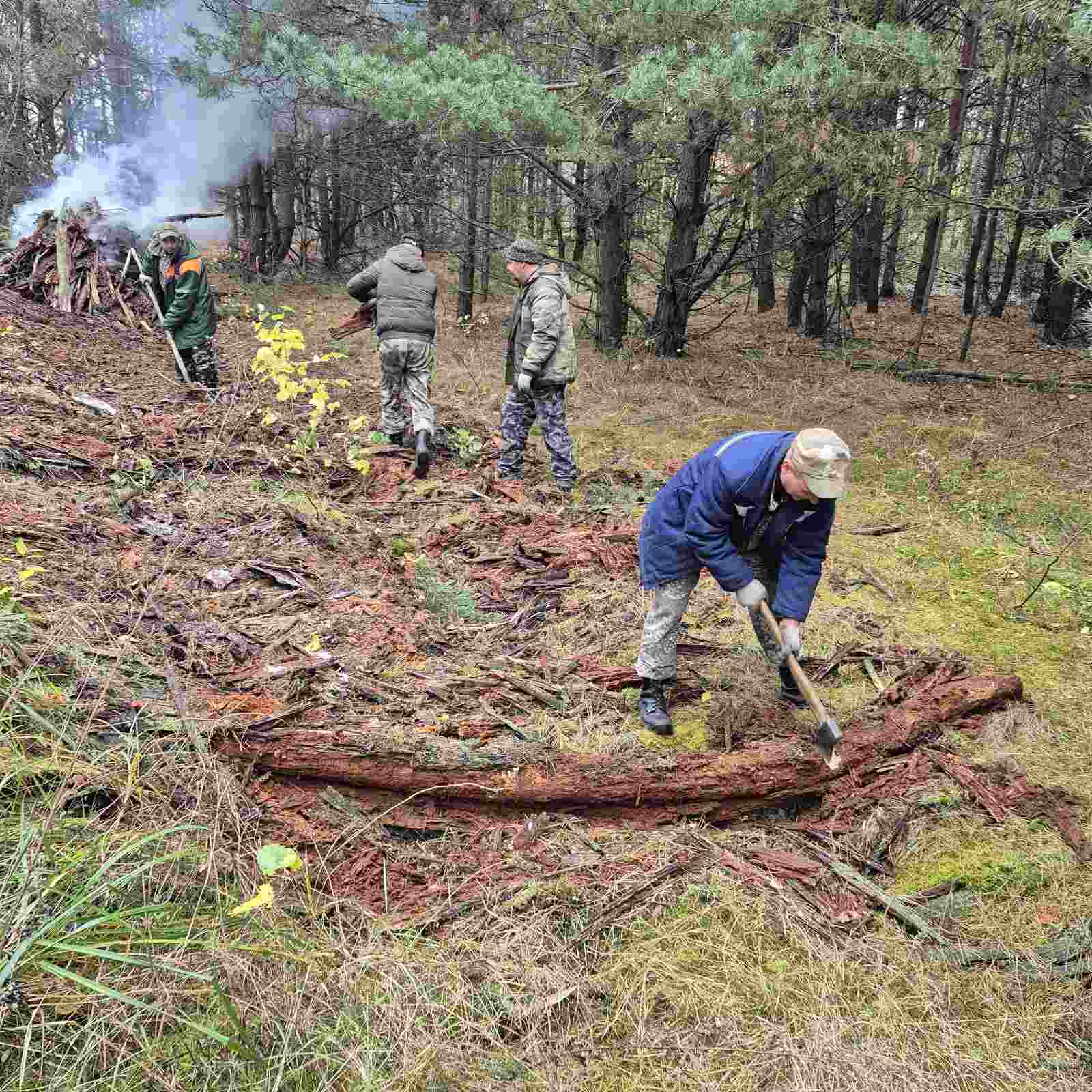 изображение viber 2025 11 03 08 50 44 951