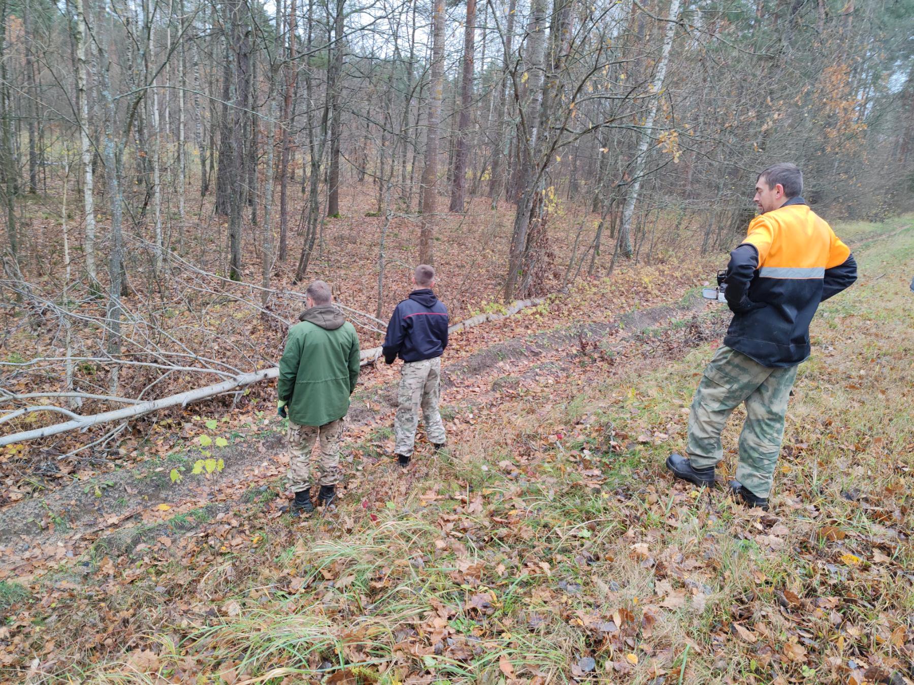 изображение viber 2025 11 03 08 50 45 068