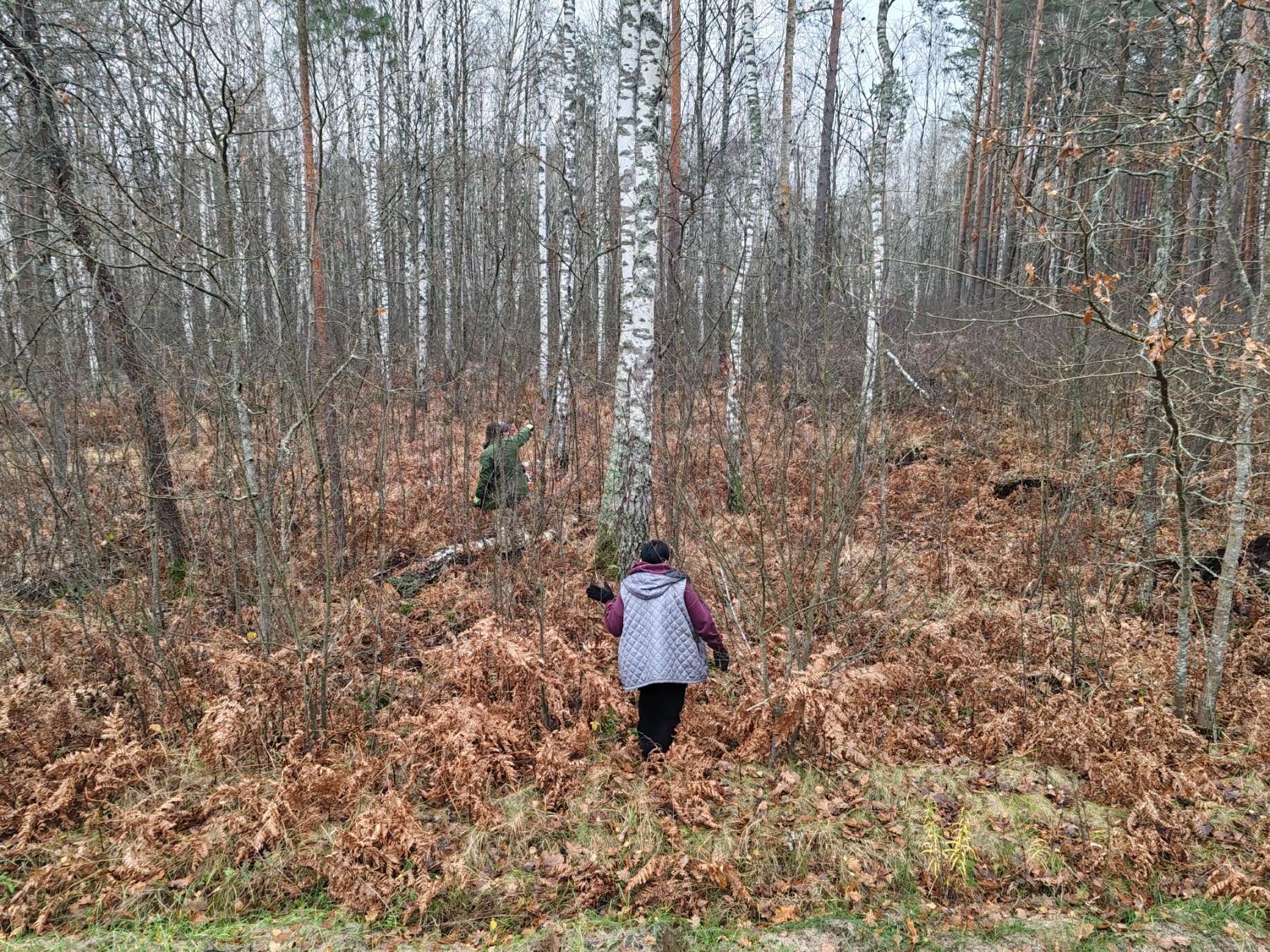 изображение viber 2025 11 03 08 50 45 183