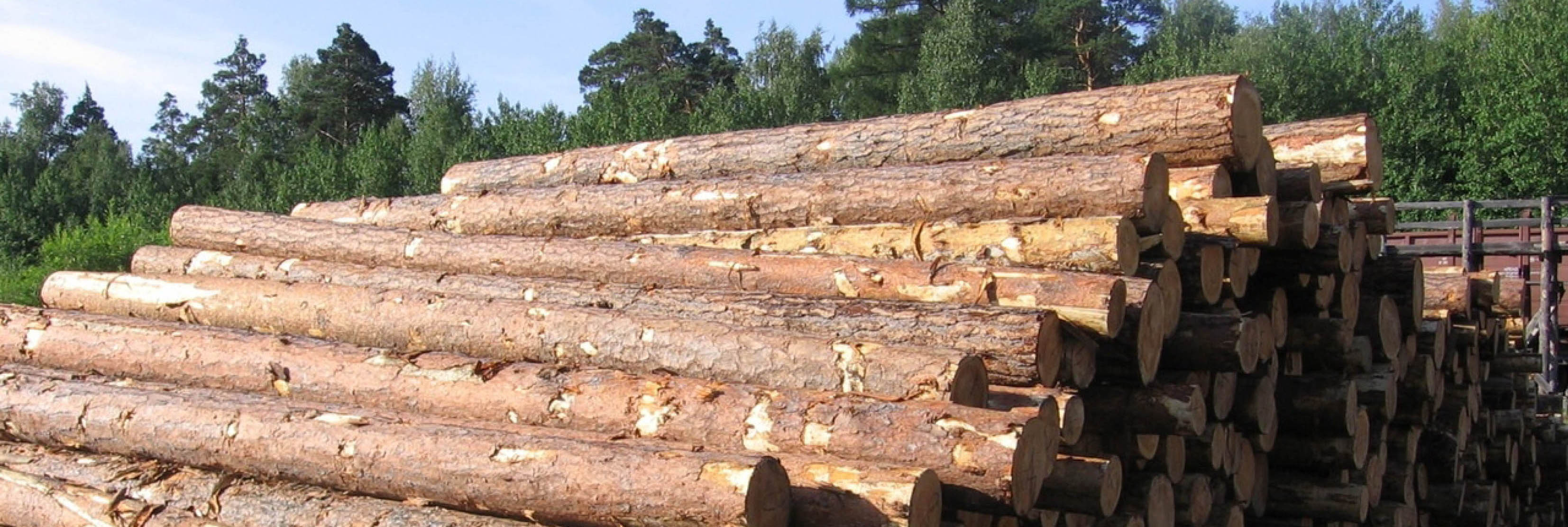 Бревно длиной 8 м 1. Заготовка деловой древесины. Заготовка древесины физическими лицами. Деловой лес. Деловая древесина это.